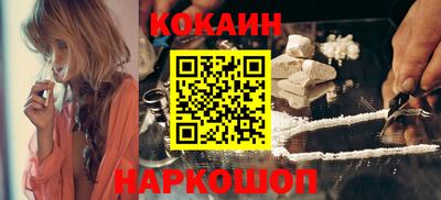 дмт Гай