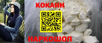 дмт Гай