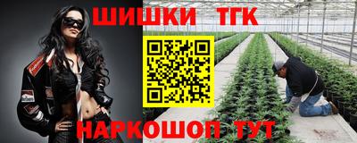ешки Гагарин