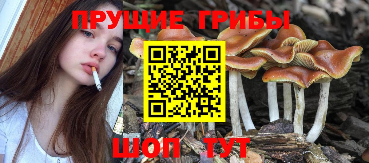 Галлюциногенные грибы Psilocybine cubensis  Галлюциногенные грибы ЛСД  Кыштым  Вход с VPN 